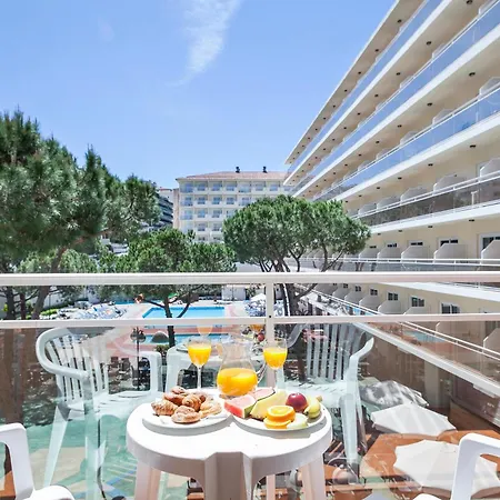 Hotel Oasis Park